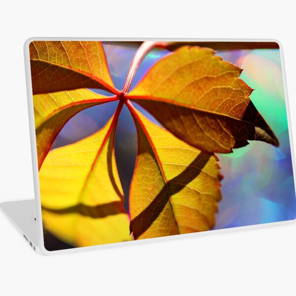 Item preview, Dans l'humeur pour une certaine couleur designed and sold by micklyn.