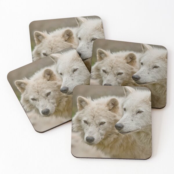 Artikelvorschau, Arctic Wolves entworfen und verkauft von WolvesOnly.