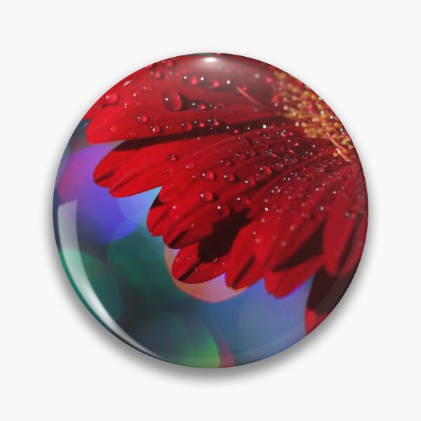 Item preview, Red Rainbow Gerbera designed and sold by micklyn.