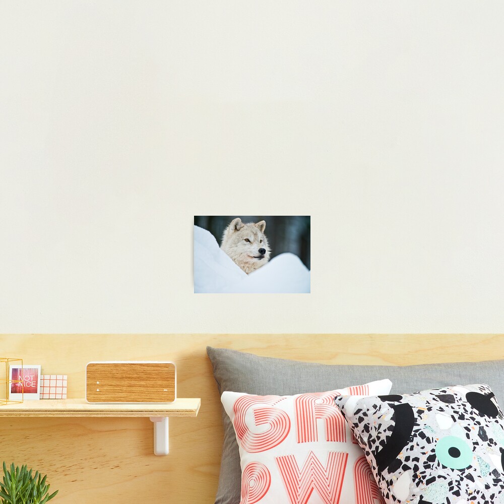 Vista previa del artículo con la obra «Lámina fotográfica», diseñado y vendido por WolvesOnly.