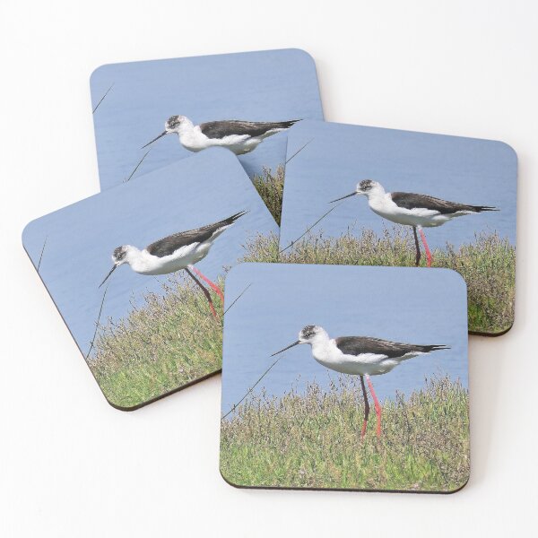 Item preview, r2438/ ornithologique-du-teich  Echasse blanche  2018 par Okaio Créations - Olavia-Olao     designed and sold by o.okaïo.