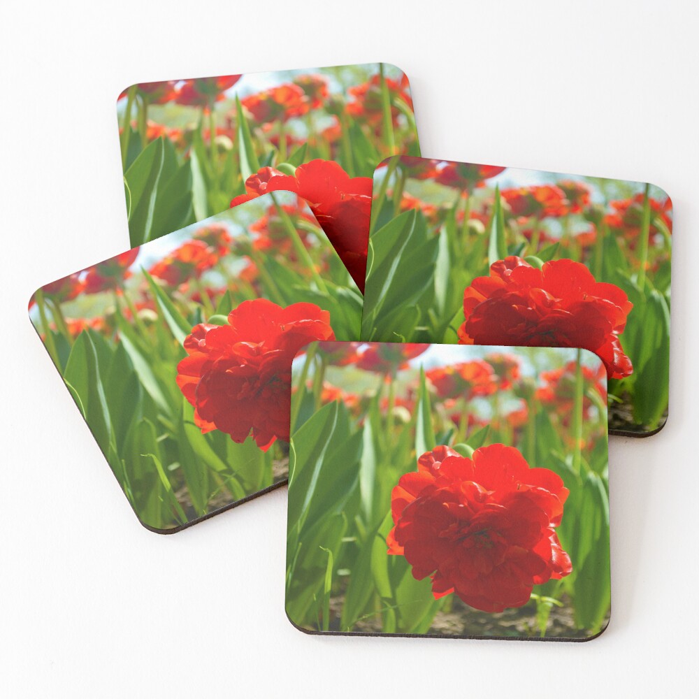 Item preview, Coasters (Set of 4) designed and sold by Ramina-Nymph.