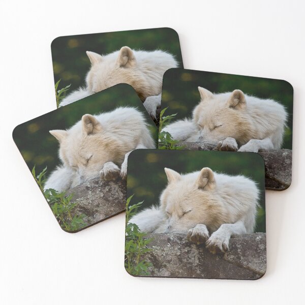 Artikelvorschau, Arctic Wolf entworfen und verkauft von WolvesOnly.