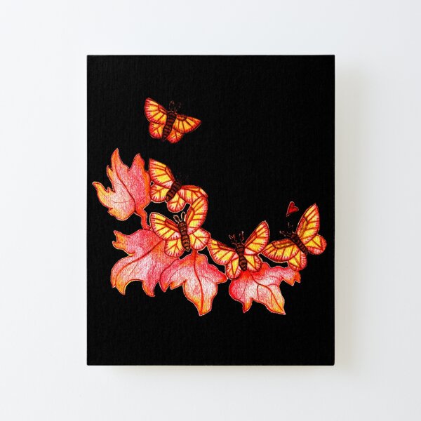 Rosy Maple Moths Canvas Mounted Print
