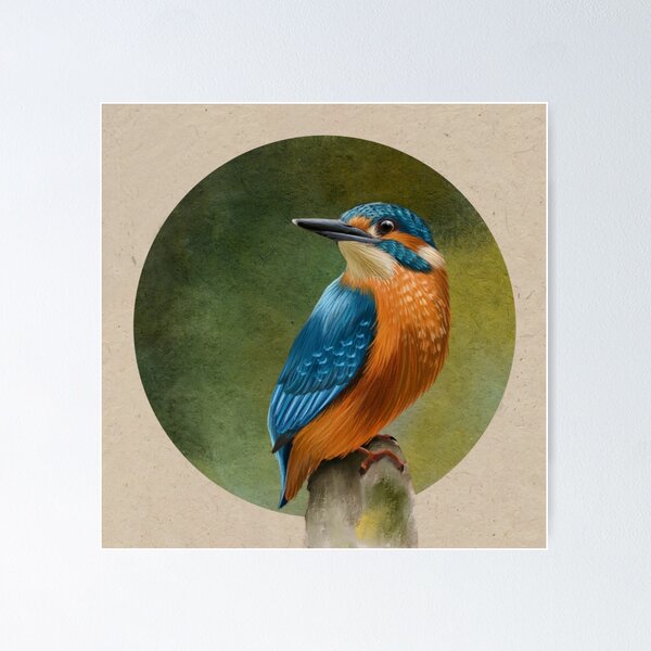 Item preview, King fisher bird background illustration designed and sold by nightlyforest.