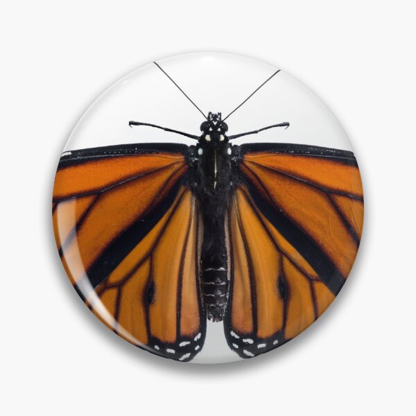 Item preview, Monarch Butterfly designed and sold by David Kocherhans.