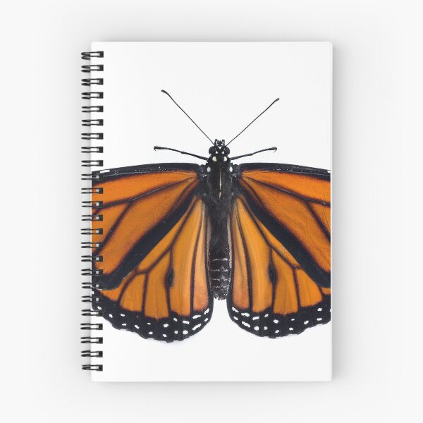 Item preview, Monarch Butterfly designed and sold by David Kocherhans.