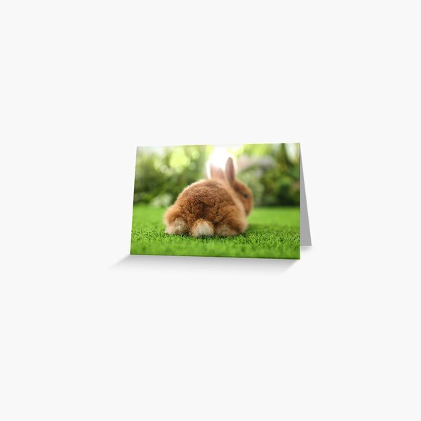 Bunny bum design Greeting Card