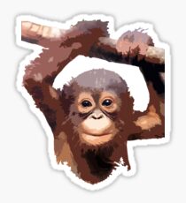 Orangutan Sticker