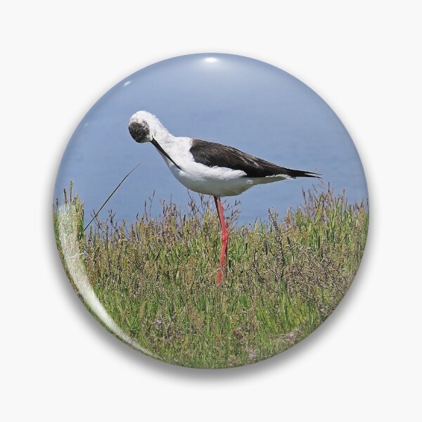 Item preview, r2439/ ornithologique-du-teich  Echasse blanche  2018 par Okaio Créations - Olavia-Olao     designed and sold by o.okaïo.