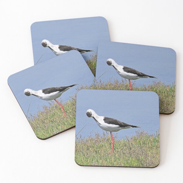 Item preview, r2439/ ornithologique-du-teich  Echasse blanche  2018 par Okaio Créations - Olavia-Olao     designed and sold by o.okaïo.