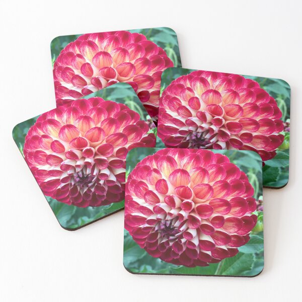 Item preview, Dalia Delight  “The Bold Flower” Uk. designed and sold by Angela Haig-Harrison.