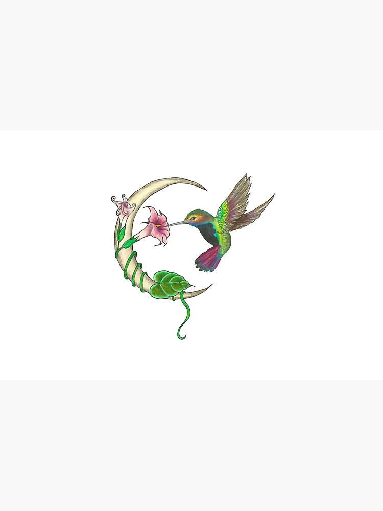 Hummingbird - sweet nectar by noracatherine