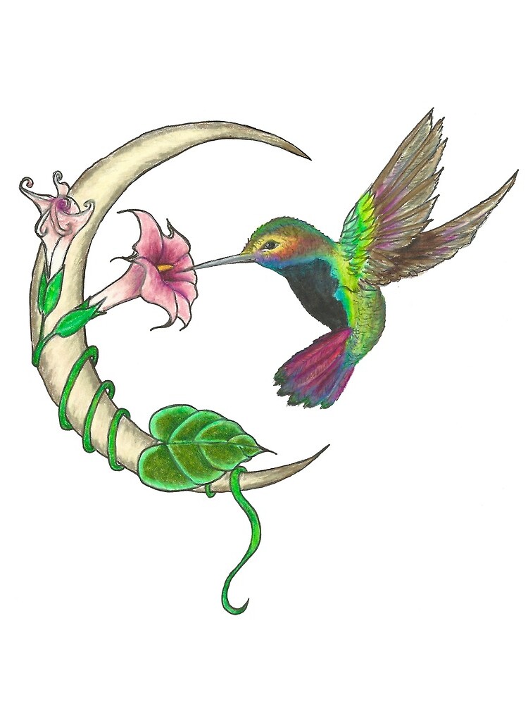 Hummingbird - sweet nectar by noracatherine