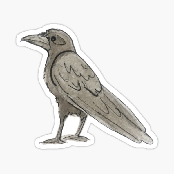Raven Illustration in Watercolor Sticker