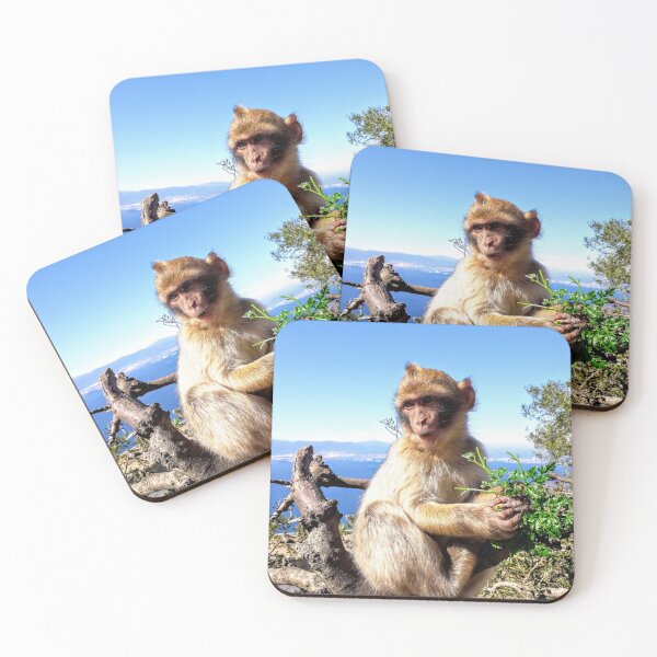 Item preview, Cute monkey Baby monkey photo Gibraltar Barbary macaques designed and sold by Tanja Dianova.