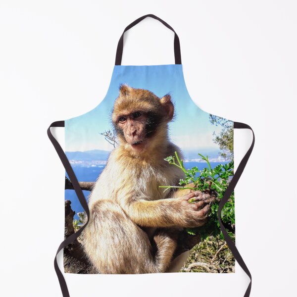 Item preview, Cute monkey Baby monkey photo Gibraltar Barbary macaques designed and sold by Tanja Dianova.