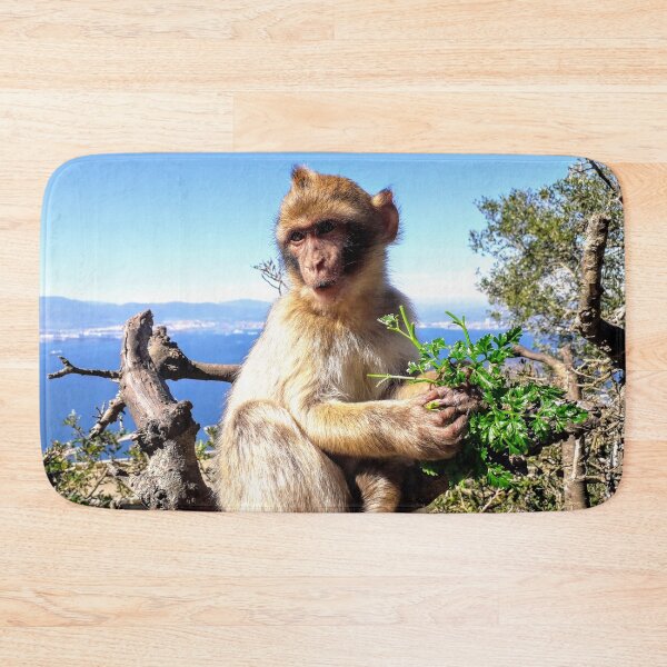 Item preview, Cute monkey Baby monkey photo Gibraltar Barbary macaques designed and sold by Tanja Dianova.