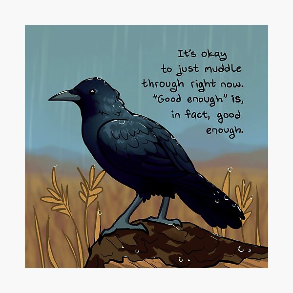 "'Good Enough' is, in Fact, Good Enough" Rainy Day Crow Photographic Print