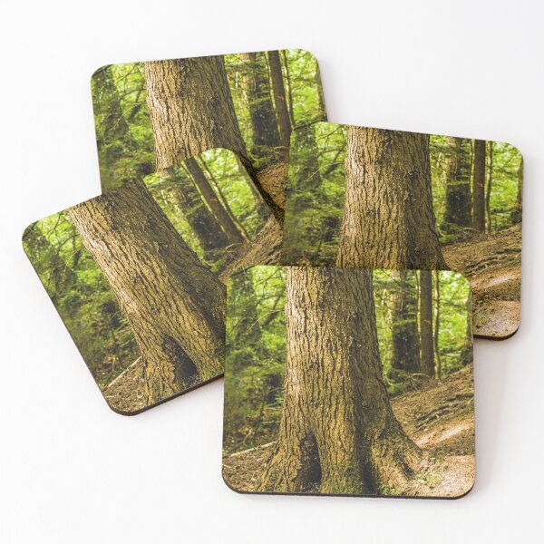 Item preview, A Pine Tree in a forest on a sloping hillside with sun dappling onto the trunk. designed and sold by Cameranick.