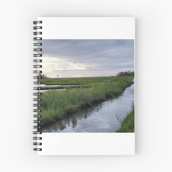 Item preview, Marshlands of Cattus Island designed and sold by Freihalt.