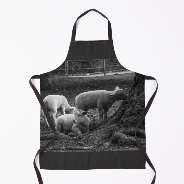 Item preview, The lambs at Maplewood Farm 3 designed and sold by Gabriele Maurus.