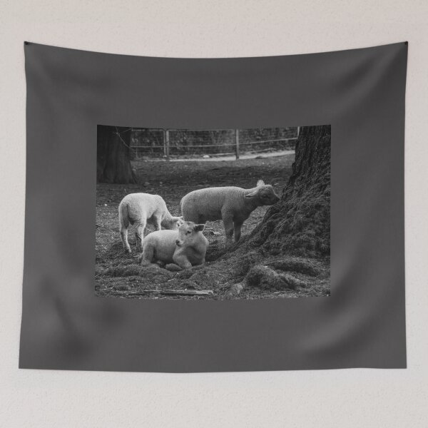 Item preview, The lambs at Maplewood Farm 3 designed and sold by Gabriele Maurus.