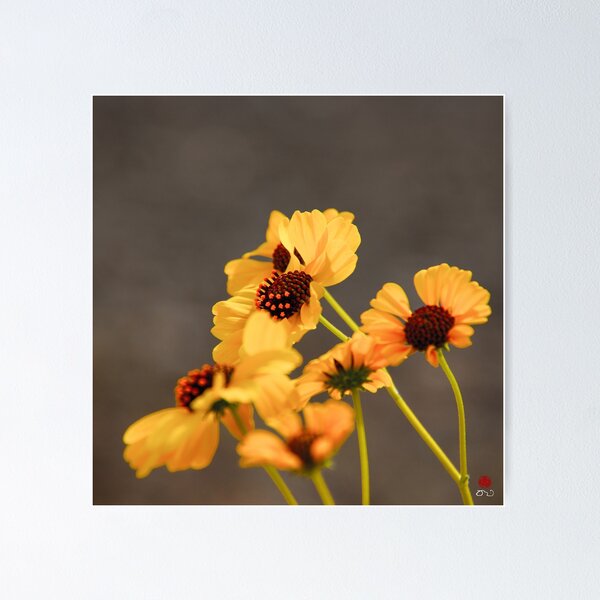 Item preview, Flores en Bumblebee Meadows, Idaho designed and sold by Don Bailey.
