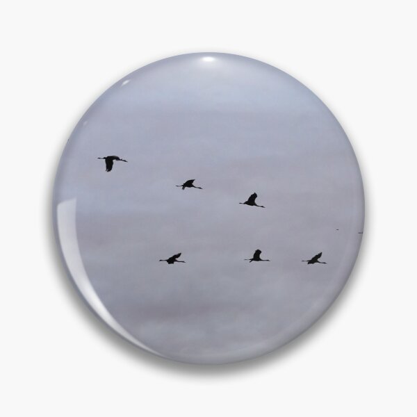 Item preview, Soft clouds behind. Eurasian crane fall migration designed and sold by Jouko Lehto Photography.