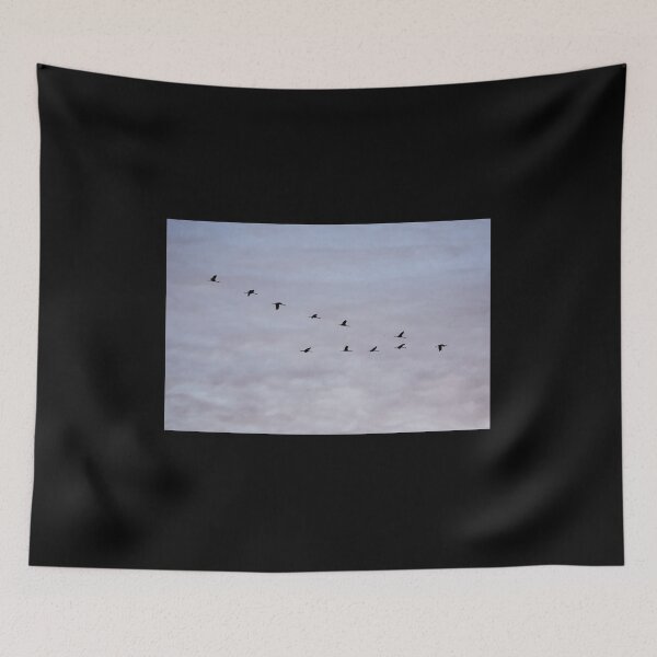Item preview, Soft clouds behind. Eurasian crane fall migration designed and sold by Jouko Lehto Photography.
