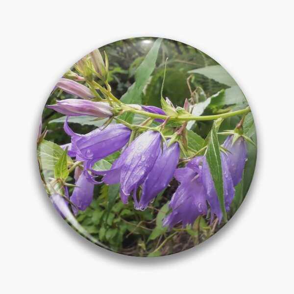 Item preview, Bluebell Blue bellflowers Campanula after the rain designed and sold by Tanja Dianova.