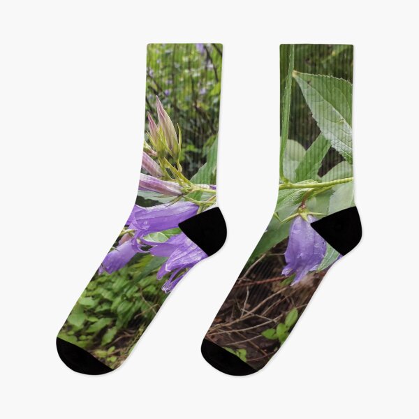 Item preview, Bluebell Blue bellflowers Campanula after the rain designed and sold by Tanja Dianova.