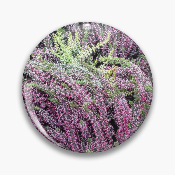 Item preview, Purple heather plants Heather fields designed and sold by Tanja Dianova.