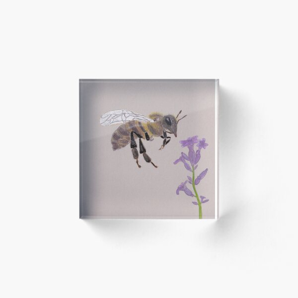 Busy Bee Acrylic Block