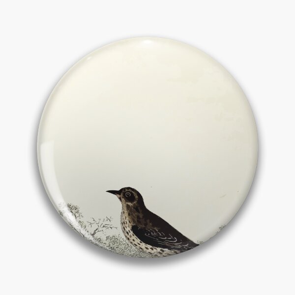 Item preview, British ornithology  being the history with a coloured representation of every known species of British birds George Graves 1821 020 designed and sold by WetdryvacRB01.