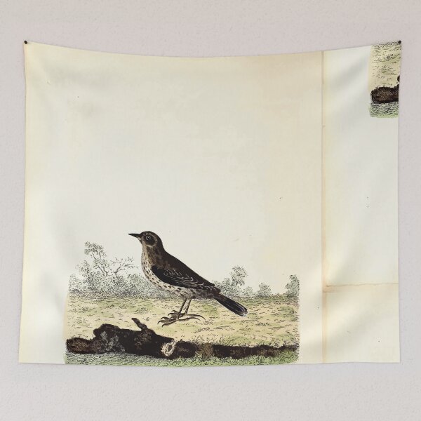 Item preview, British ornithology  being the history with a coloured representation of every known species of British birds George Graves 1821 020 designed and sold by WetdryvacRB01.