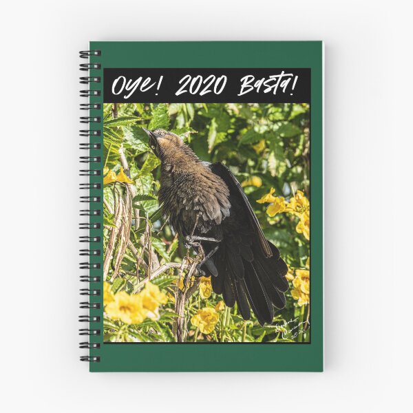 Item preview, Oye! 2020 Basta! designed and sold by Darlene Cameron.