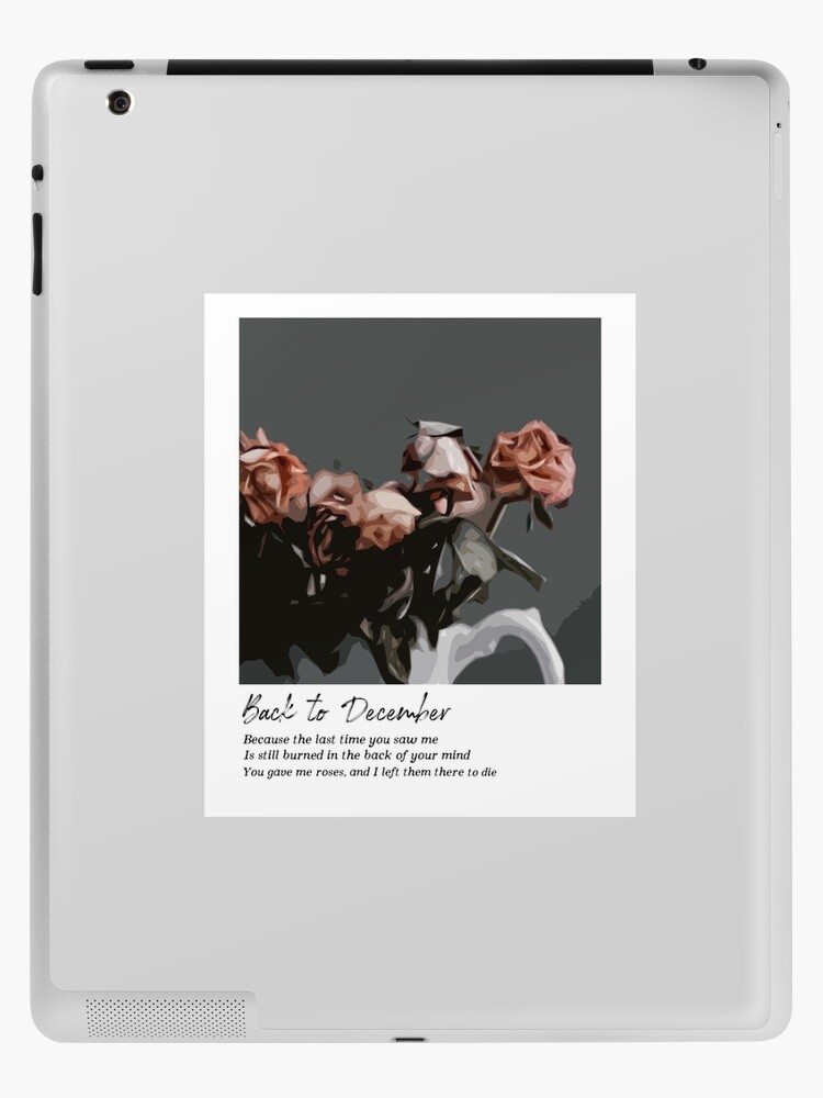 Taylor Swift Lyrics | iPad Case & Skin