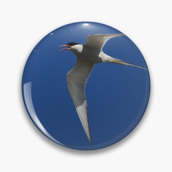 Item preview, Arctic tern (Sterna paradisaea) designed and sold by Jon Lees.
