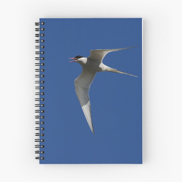 Item preview, Arctic tern (Sterna paradisaea) designed and sold by Jon Lees.