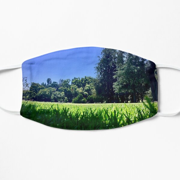 Nap in the Grass (glancingabout.com) Mask