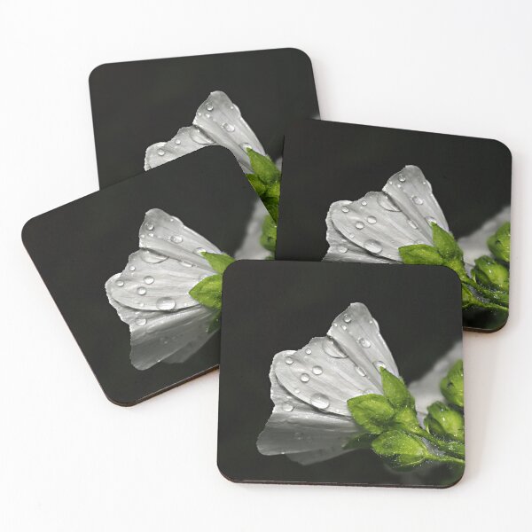 Item preview, Macro photo white flower designed and sold by bonidog.