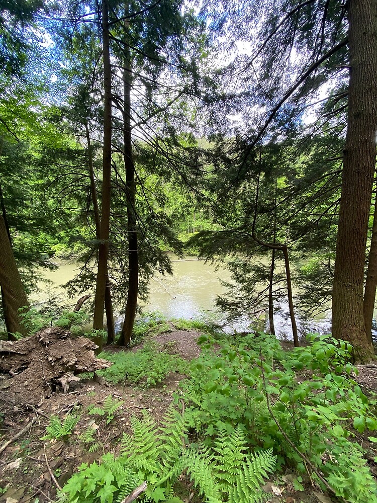 "Mohican State Park, Clear Fork River" Poster for Sale by rockside