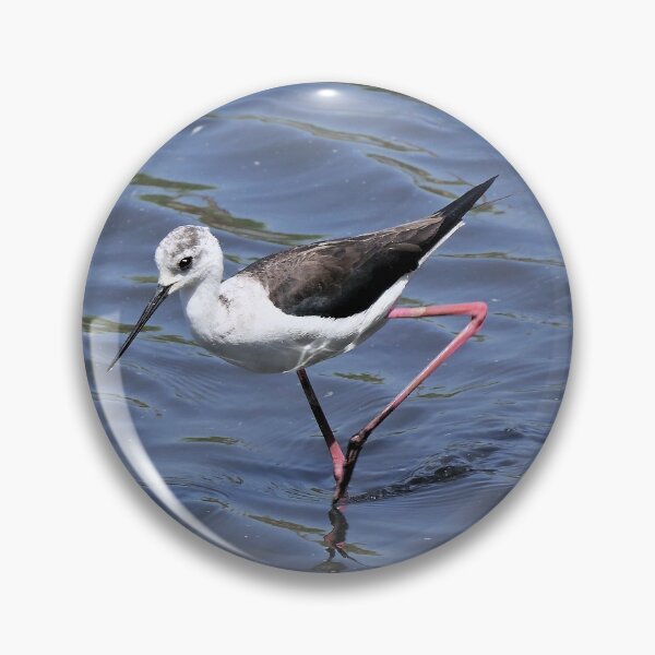Item preview, 2440/ ornithologique-du-teich Echasse blanche 2018 par Okaio Créations - Olavia-Olao designed and sold by o.okaïo.