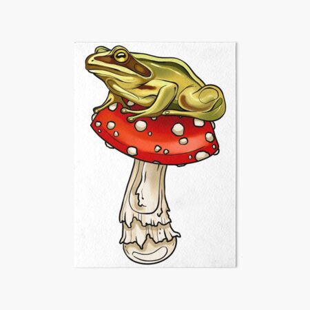 Featured image of post View 11 Frog Sitting On Mushroom Drawing Aesthetic