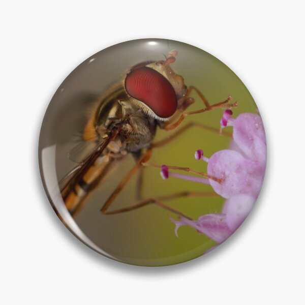 Item preview, Marmalade hoverfly  designed and sold by chanonry.