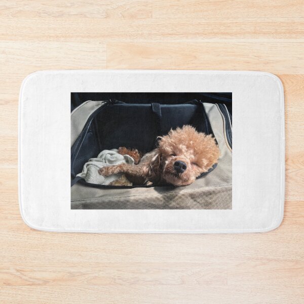 Item preview, Sleepy puppy! designed and sold by Roz McQuillan Fine Art & Photography.