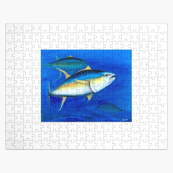 Yellowfin Tunas hunting Squid | Postcard