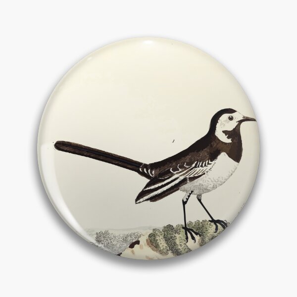 Item preview, British ornithology  being the history with a coloured representation of every known species of British birds George Graves 1821 022 designed and sold by WetdryvacRB01.