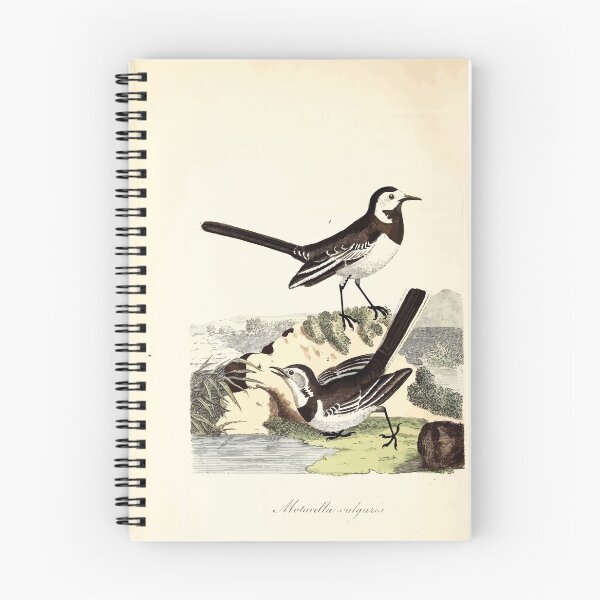 Item preview, British ornithology  being the history with a coloured representation of every known species of British birds George Graves 1821 022 designed and sold by WetdryvacRB01.